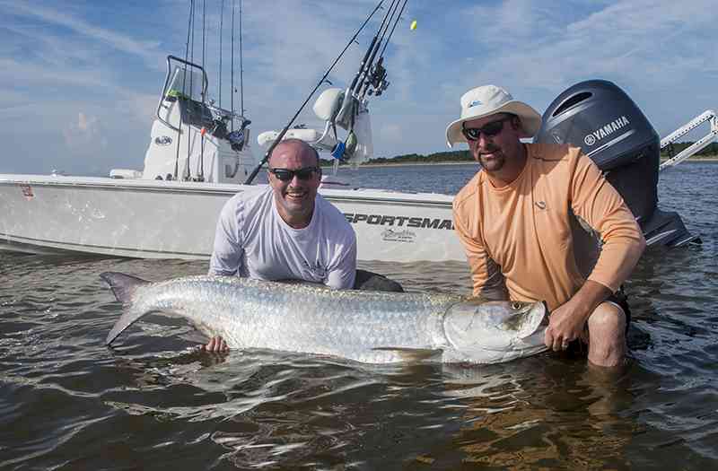 Fishing charters, species & seasons