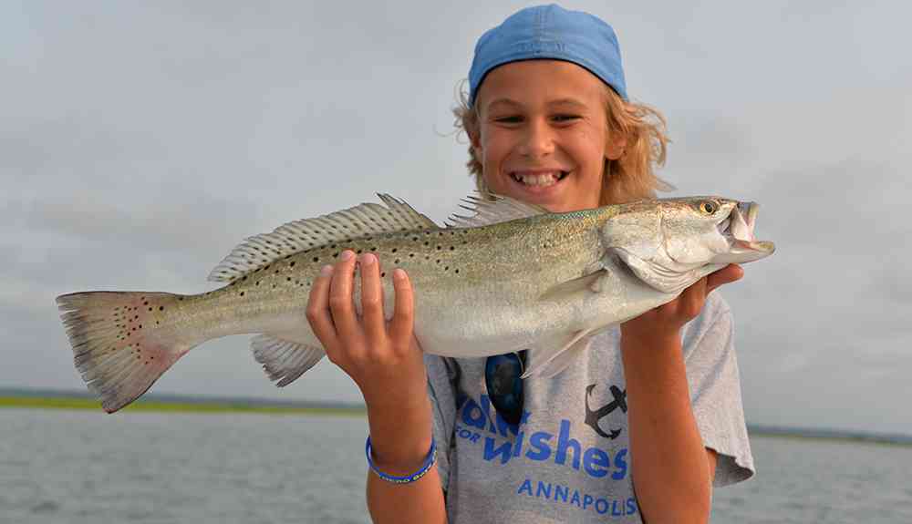 Fall Speckled Trout in Santee Delta