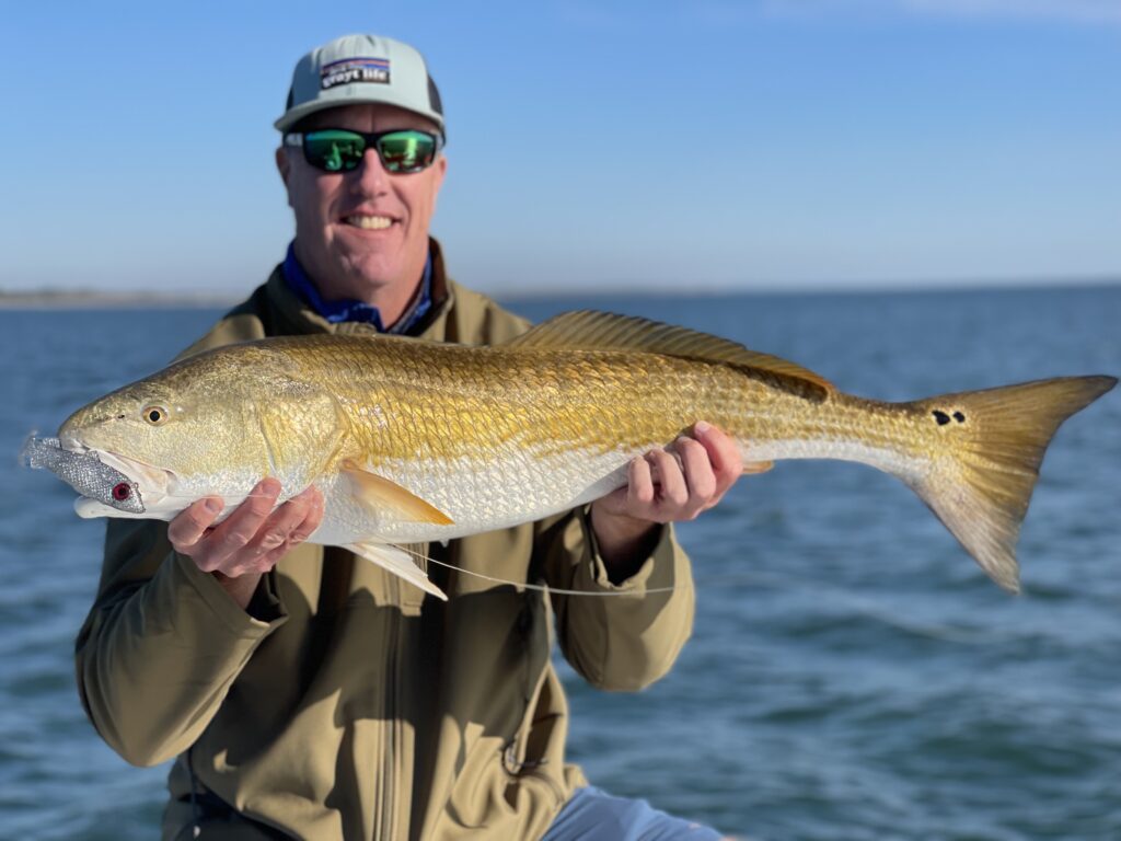 Red Drum in South Carolina