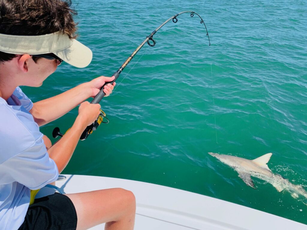 Shark Fishing Myrtle Beach - Myrtle Beach Fishing Guide