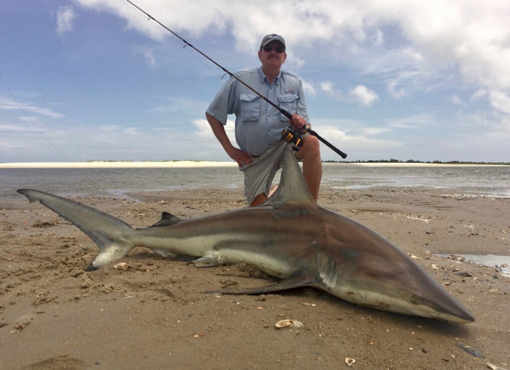 How to Go Shark Fishing in the Surf