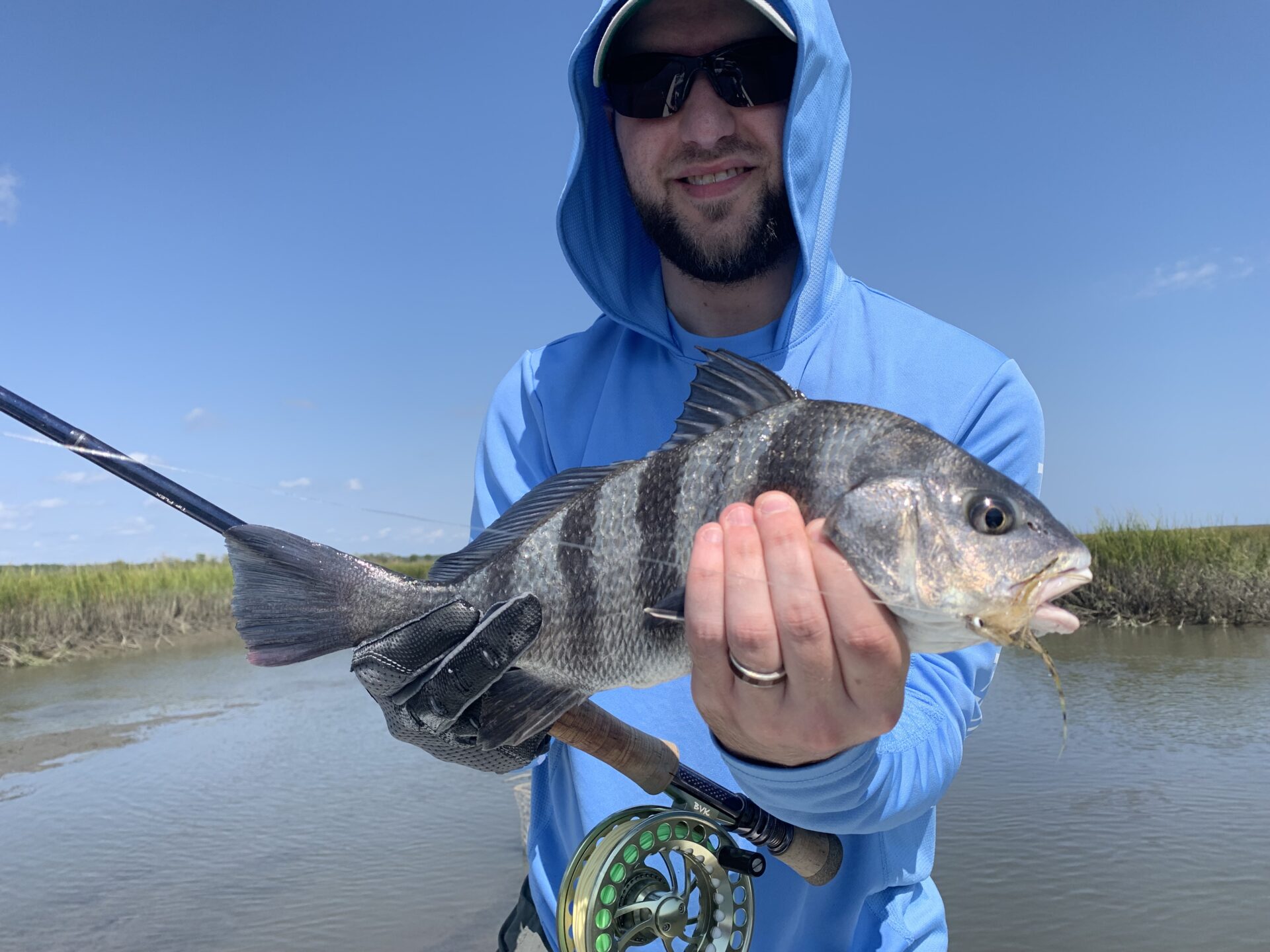 Bluefish and Black Drum in the Surf