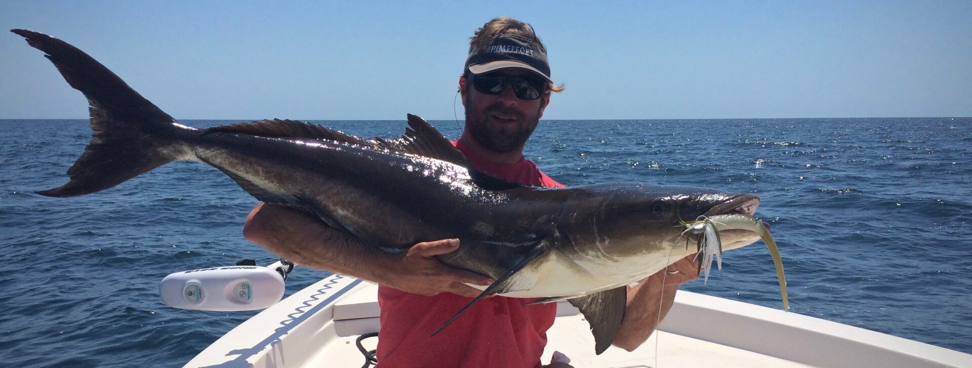 cobia fishing south carolina