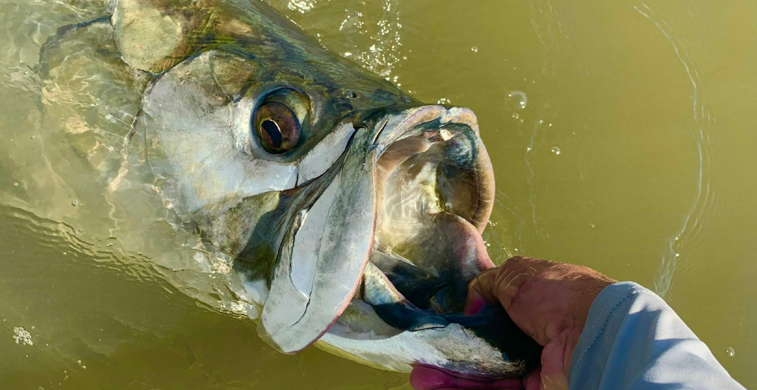 tarpon fishing myrtle beach