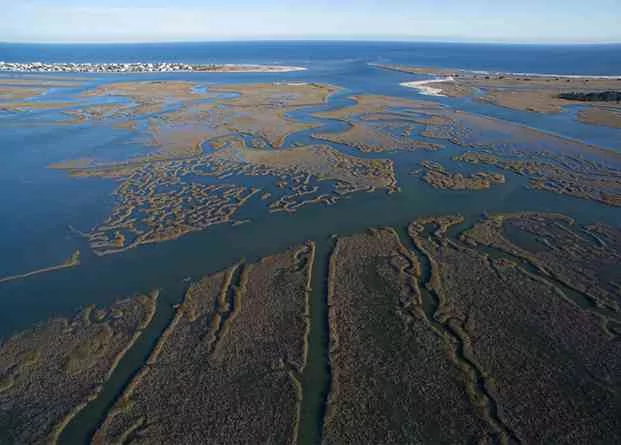 a picture or murrells inlet