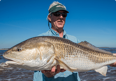 Fishing charters, species & seasons